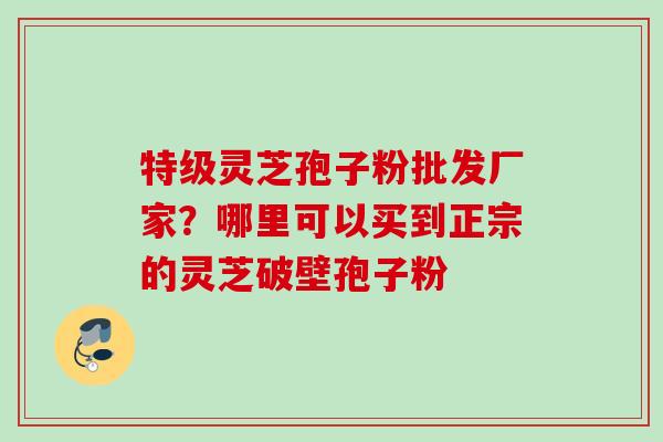 特级灵芝孢子粉批发厂家？哪里可以买到正宗的灵芝破壁孢子粉