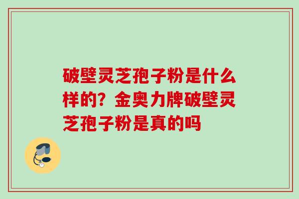 破壁灵芝孢子粉是什么样的？金奥力牌破壁灵芝孢子粉是真的吗