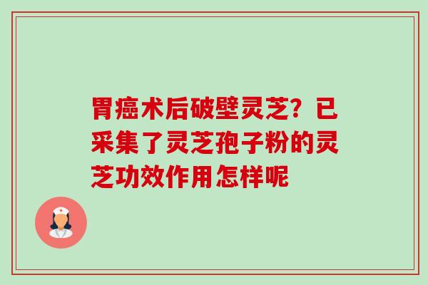 胃术后破壁灵芝？已采集了灵芝孢子粉的灵芝功效作用怎样呢