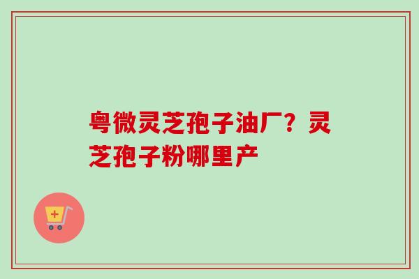 粤微灵芝孢子油厂？灵芝孢子粉哪里产