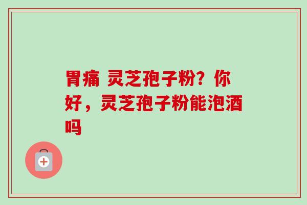 胃痛 灵芝孢子粉？你好，灵芝孢子粉能泡酒吗