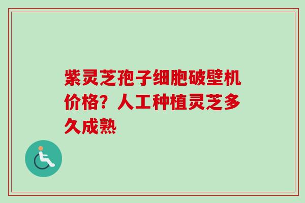 紫灵芝孢子细胞破壁机价格?人工种植灵芝多久成熟 紫灵芝孢子细胞破壁机价格?人工种植灵芝多久成熟