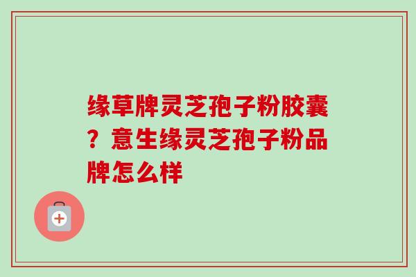 缘草牌灵芝孢子粉胶囊？意生缘灵芝孢子粉品牌怎么样