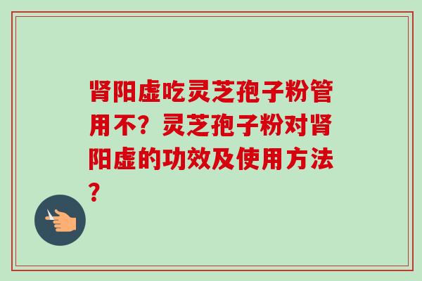 阳虚吃灵芝孢子粉管用不？灵芝孢子粉对阳虚的功效及使用方法？