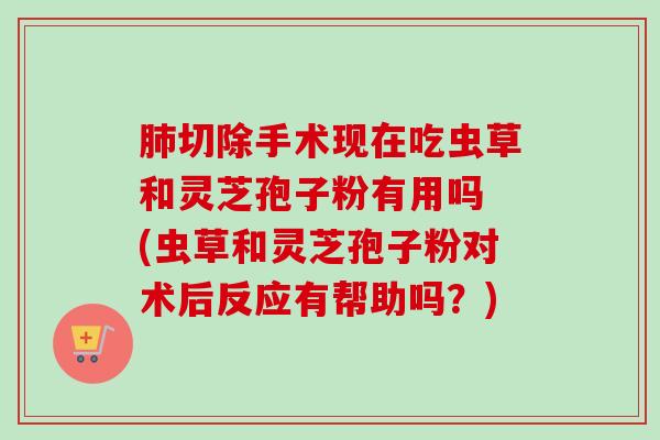 切除手术现在吃虫草和灵芝孢子粉有用吗 (虫草和灵芝孢子粉对术后反应有帮助吗?) 切除手术现在吃虫草和灵芝孢子粉有用吗 (虫草和灵芝孢子粉对术后反应有帮助吗?)