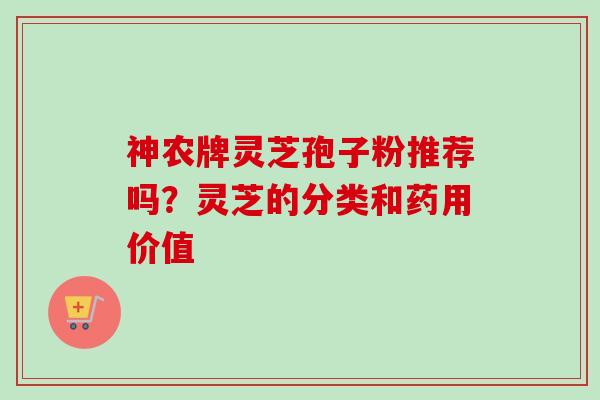 神农牌灵芝孢子粉推荐吗？灵芝的分类和药用价值