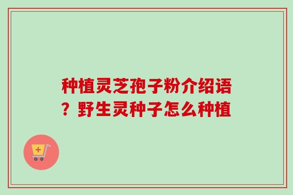 种植灵芝孢子粉介绍语?野生灵种子怎么种植 种植灵芝孢子粉介绍语?野生灵种子怎么种植