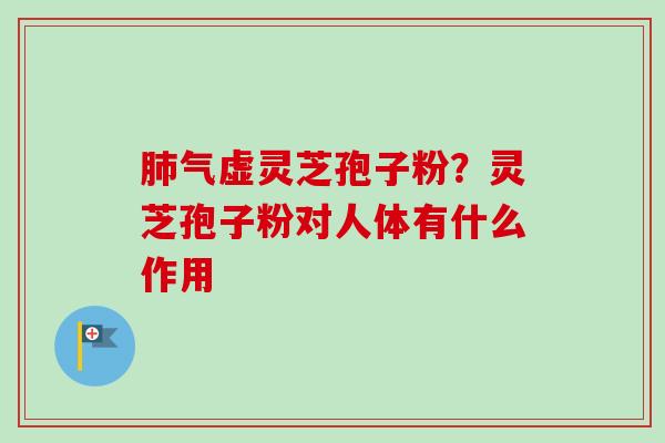 气虚灵芝孢子粉?灵芝孢子粉对人体有什么作用 气虚灵芝孢子粉?灵芝孢子粉对人体有什么作用