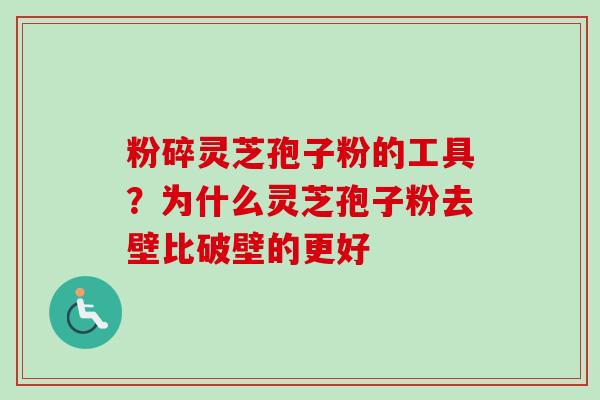 粉碎灵芝孢子粉的工具?为什么灵芝孢子粉去壁比破壁的更好 粉碎灵芝孢子粉的工具?为什么灵芝孢子粉去壁比破壁的更好