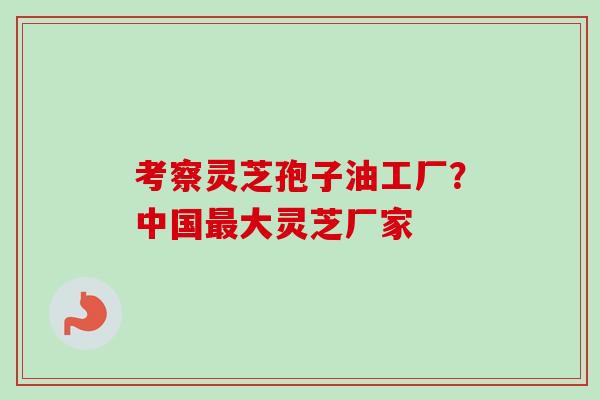 考察灵芝孢子油工厂?中国大灵芝厂家 考察灵芝孢子油工厂?中国大灵芝厂家