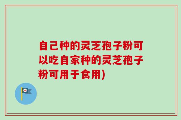 自己种的灵芝孢子粉可以吃自家种的灵芝孢子粉可用于食用) 自己种的灵芝孢子粉可以吃自家种的灵芝孢子粉可用于食用)
