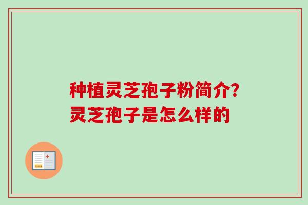 种植灵芝孢子粉简介？灵芝孢子是怎么样的
