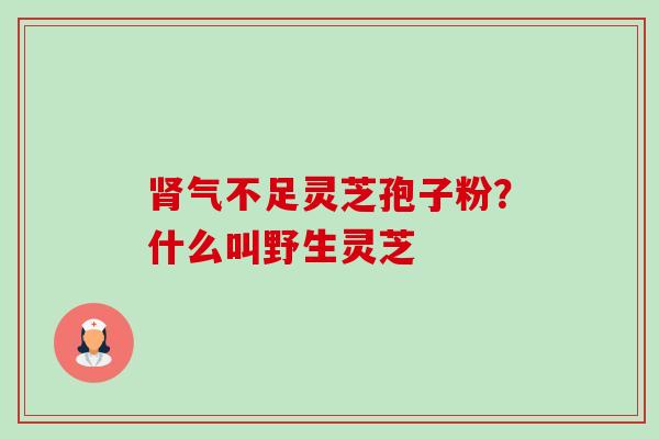 气不足灵芝孢子粉?什么叫野生灵芝 气不足灵芝孢子粉?什么叫野生灵芝