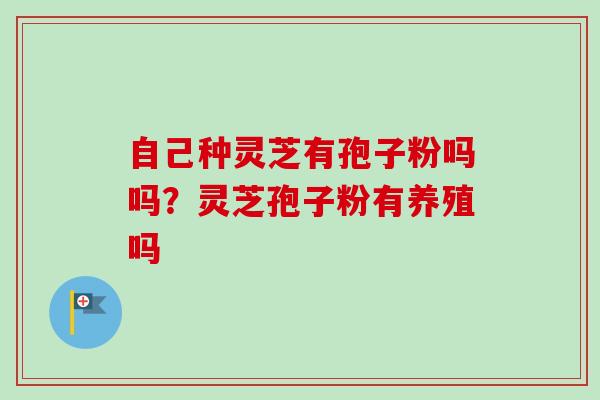 自己种灵芝有孢子粉吗吗?灵芝孢子粉有养殖吗 自己种灵芝有孢子粉吗吗?灵芝孢子粉有养殖吗
