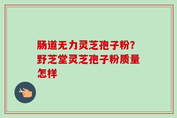 肠道无力灵芝孢子粉?野芝堂灵芝孢子粉质量怎样 肠道无力灵芝孢子粉?野芝堂灵芝孢子粉质量怎样