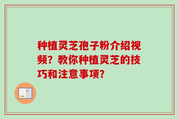 种植灵芝孢子粉介绍视频?教你种植灵芝的技巧和注意事项? 种植灵芝孢子粉介绍视频?教你种植灵芝的技巧和注意事项?