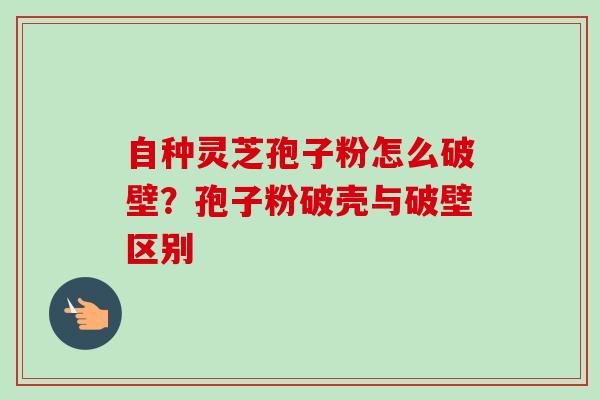 自种灵芝孢子粉怎么破壁?孢子粉破壳与破壁区别 自种灵芝孢子粉怎么破壁?孢子粉破壳与破壁区别