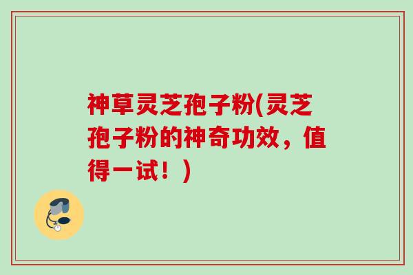 神草灵芝孢子粉(灵芝孢子粉的神奇功效，值得一试！)