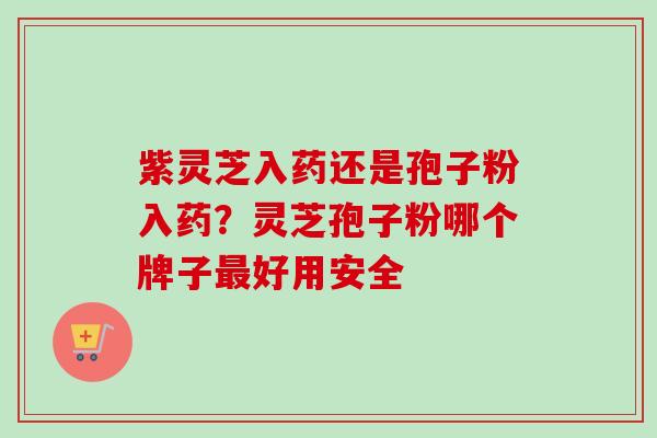 紫灵芝入药还是孢子粉入药？灵芝孢子粉哪个牌子好用安全
