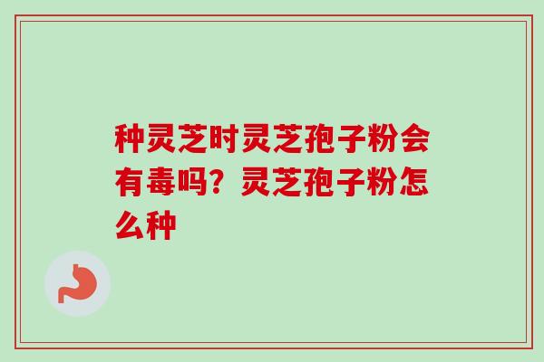 种灵芝时灵芝孢子粉会有毒吗?灵芝孢子粉怎么种 种灵芝时灵芝孢子粉会有毒吗?灵芝孢子粉怎么种