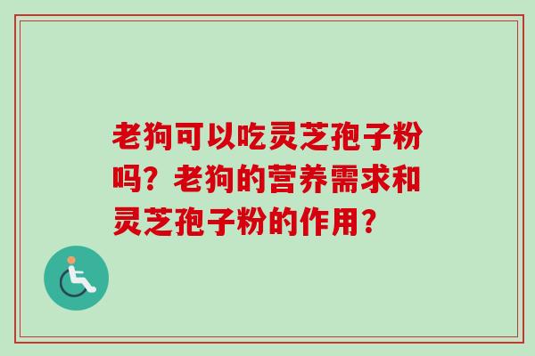 老狗可以吃灵芝孢子粉吗?老狗的营养需求和灵芝孢子粉的作用? 老狗可以吃灵芝孢子粉吗?老狗的营养需求和灵芝孢子粉的作用?
