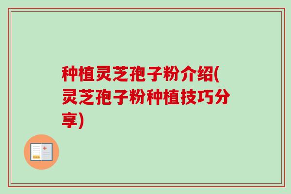 种植灵芝孢子粉介绍(灵芝孢子粉种植技巧分享) 种植灵芝孢子粉介绍(灵芝孢子粉种植技巧分享)