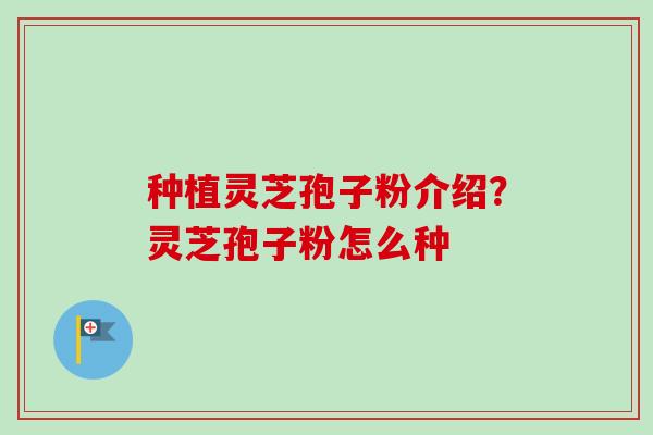 种植灵芝孢子粉介绍？灵芝孢子粉怎么种