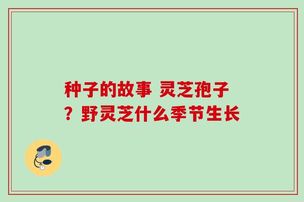 种子的故事 灵芝孢子?野灵芝什么季节生长 种子的故事 灵芝孢子?野灵芝什么季节生长