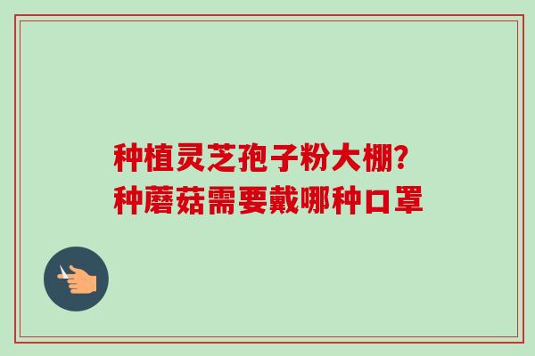 种植灵芝孢子粉大棚？种蘑菇需要戴哪种口罩