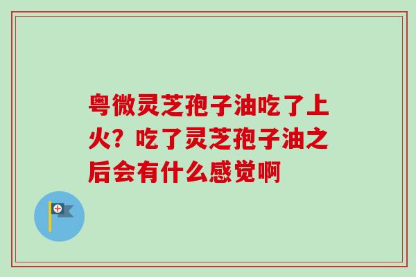 粤微灵芝孢子油吃了上火？吃了灵芝孢子油之后会有什么感觉啊