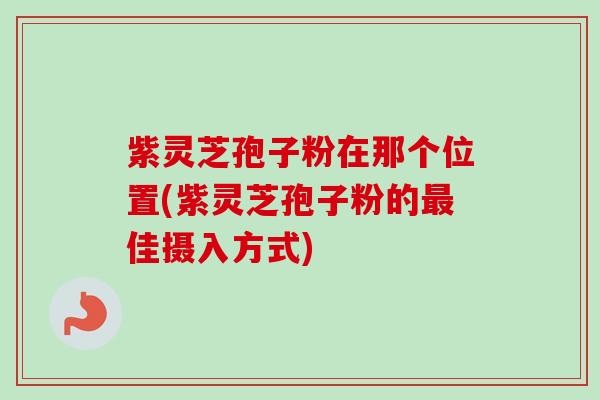 紫灵芝孢子粉在那个位置(紫灵芝孢子粉的佳摄入方式) 紫灵芝孢子粉在那个位置(紫灵芝孢子粉的佳摄入方式)