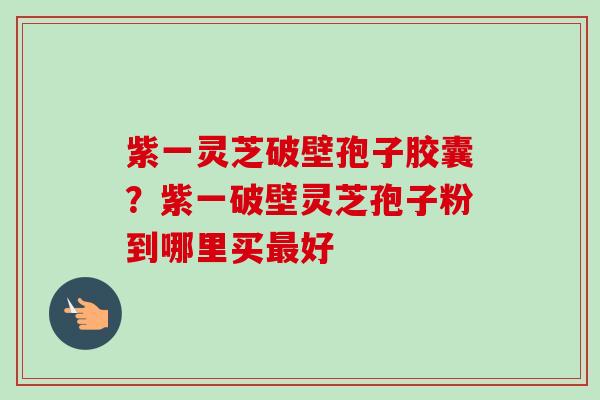 紫一灵芝破壁孢子胶囊？紫一破壁灵芝孢子粉到哪里买好