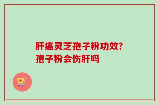 灵芝孢子粉功效？孢子粉会伤吗
