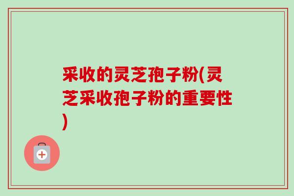 采收的灵芝孢子粉(灵芝采收孢子粉的重要性) 采收的灵芝孢子粉(灵芝采收孢子粉的重要性)