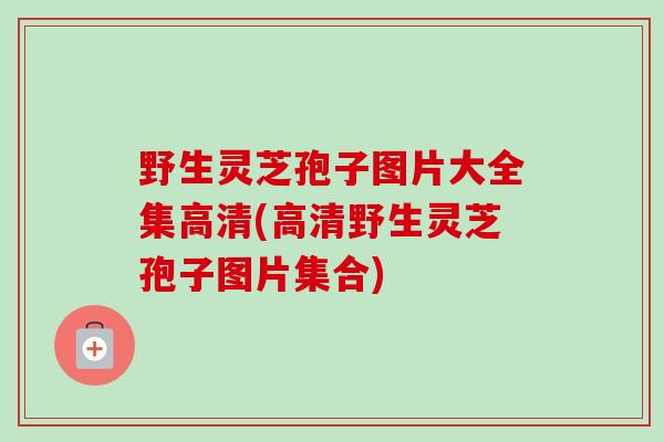 野生灵芝孢子图片大全集高清(高清野生灵芝孢子图片集合) 野生灵芝孢子图片大全集高清(高清野生灵芝孢子图片集合)