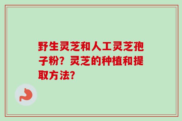 野生灵芝和人工灵芝孢子粉?灵芝的种植和提取方法? 野生灵芝和人工灵芝孢子粉?灵芝的种植和提取方法?