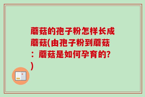 蘑菇的孢子粉怎样长成蘑菇(由孢子粉到蘑菇:蘑菇是如何孕育的?) 蘑菇的孢子粉怎样长成蘑菇(由孢子粉到蘑菇:蘑菇是如何孕育的?)