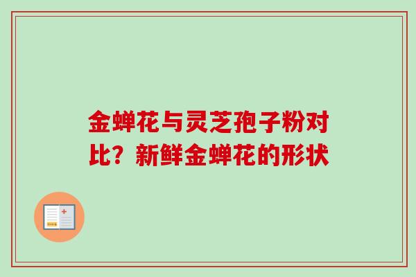 金蝉花与灵芝孢子粉对比?新鲜金蝉花的形状 金蝉花与灵芝孢子粉对比?新鲜金蝉花的形状