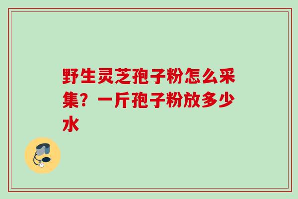 野生灵芝孢子粉怎么采集?一斤孢子粉放多少水 野生灵芝孢子粉怎么采集?一斤孢子粉放多少水