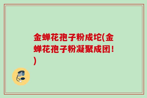 金蝉花孢子粉成坨(金蝉花孢子粉凝聚成团！)