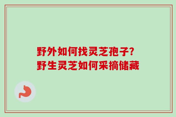 野外如何找灵芝孢子?野生灵芝如何采摘储藏 野外如何找灵芝孢子?野生灵芝如何采摘储藏