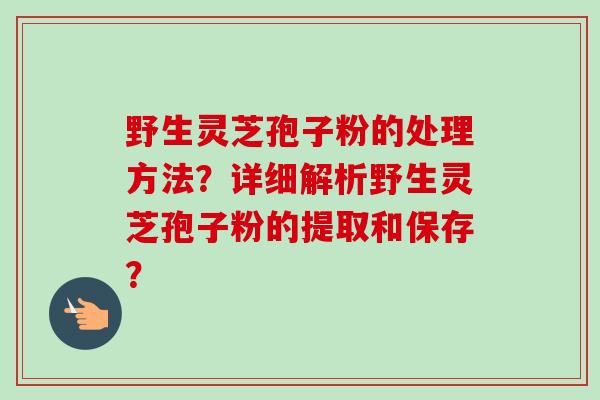 野生灵芝孢子粉的处理方法?详细解析野生灵芝孢子粉的提取和保存? 野生灵芝孢子粉的处理方法?详细解析野生灵芝孢子粉的提取和保存?