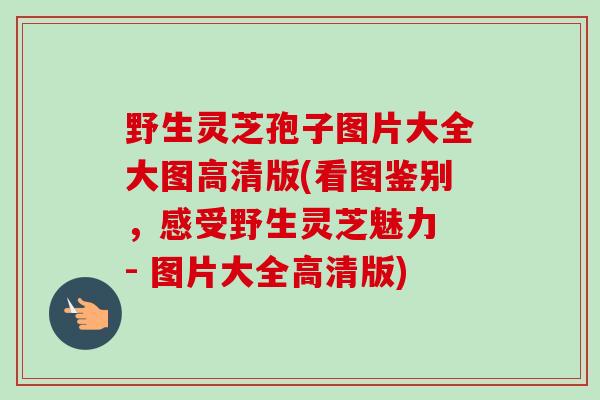 野生灵芝孢子图片大全大图高清版(看图鉴别,感受野生灵芝魅力 - 图片大全高清版) 野生灵芝孢子图片大全大图高清版(看图鉴别,感受野生灵芝魅力 - 图片大全高清版)