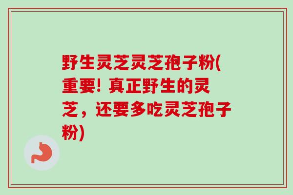 野生灵芝灵芝孢子粉(重要! 真正野生的灵芝,还要多吃灵芝孢子粉) 野生灵芝灵芝孢子粉(重要! 真正野生的灵芝,还要多吃灵芝孢子粉)