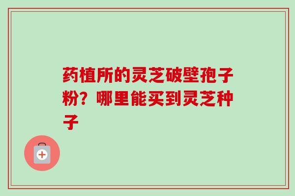 药植所的灵芝破壁孢子粉?哪里能买到灵芝种子 药植所的灵芝破壁孢子粉?哪里能买到灵芝种子
