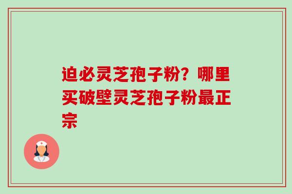 迫必灵芝孢子粉?哪里买破壁灵芝孢子粉正宗 迫必灵芝孢子粉?哪里买破壁灵芝孢子粉正宗