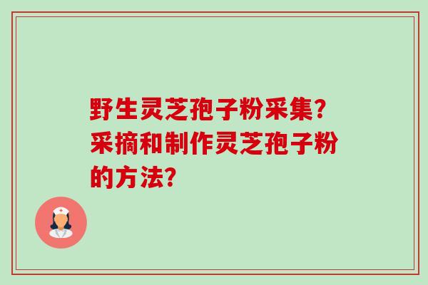 野生灵芝孢子粉采集?采摘和制作灵芝孢子粉的方法? 野生灵芝孢子粉采集?采摘和制作灵芝孢子粉的方法?