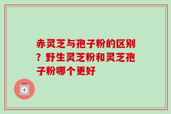 赤灵芝与孢子粉的区别？野生灵芝粉和灵芝孢子粉哪个更好
