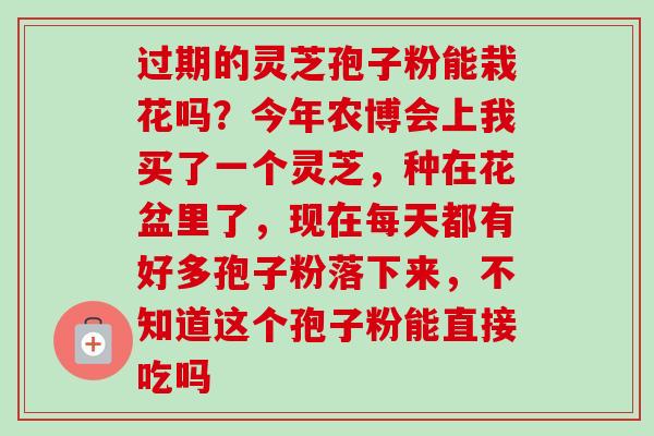过期的灵芝孢子粉能栽花吗？今年农博会上我买了一个灵芝，种在花盆里了，现在每天都有好多孢子粉落下来，不知道这个孢子粉能直接吃吗