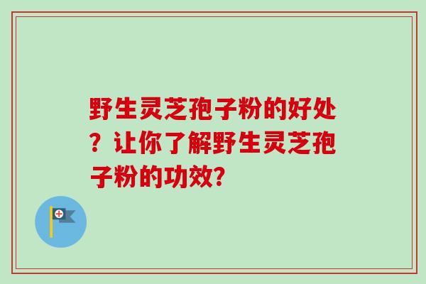 野生灵芝孢子粉的好处？让你了解野生灵芝孢子粉的功效？